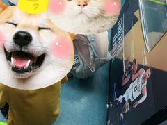 -奥体中心游泳馆