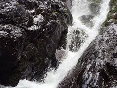 -凤凰山国家森林公园