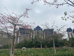 -清远熹乐谷温泉度假酒店