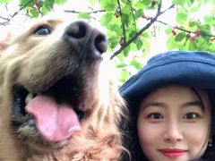 -萝卜寨羌文化生态旅游区