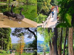 -广州市白云山风景名胜区