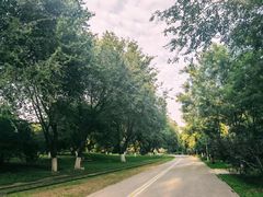 -永定河休闲森林公园