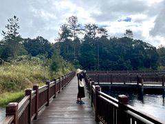 -海南热带雨林国家公园吊罗山景区
