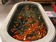 -黄家码头老火锅(解放碑旗舰店)