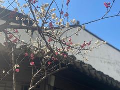 -南京市民俗博物馆(甘熙故居)