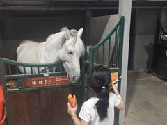 -杭州少年儿童公园
