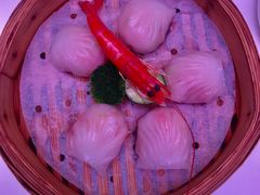 和苑招牌虾饺-和苑·精致粤菜(珠江新城店)