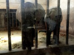 -石家庄市动物园