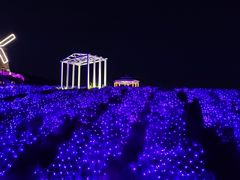 -大塘金香草谷
