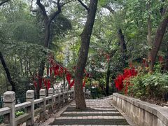 -灵岩山风景区