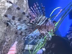-香港海洋公园