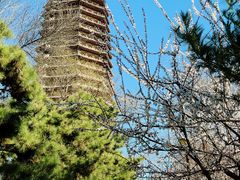 -玲珑塔公园
