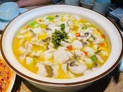 招牌青花椒-青花椒花椒鱼(新百店)