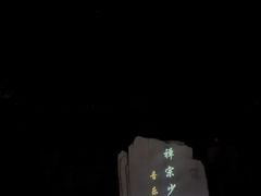 -禅宗少林·音乐大典