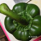 家常菜中简易的 脆绿营养的鲜椒炒鸡蛋