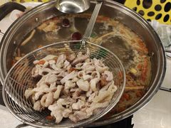 五指毛桃嫩鸡锅-小煵记·打边炉(西丽文光店)