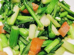 钵钵广东菜心-佬肥猫(国华广场店)