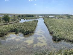 -盐城丹顶鹤湿地生态旅游区