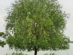 -苏州太湖国家湿地公园