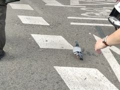 -加泰罗尼亚广场