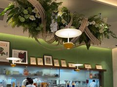 -Aqua Oasis 水天堂(太湖中心mall店)