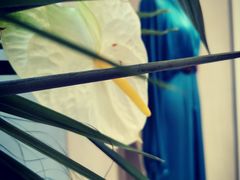 -GRACE CHEN高级时装