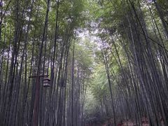 -苏州环秀晓筑养生度假村
