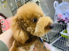 -百恒宠物医疗中心