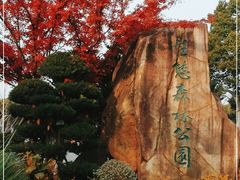 -昆山城市生态森林公园