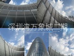 -深圳湾万象城(南山店)