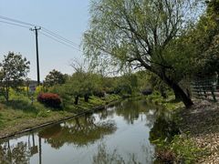 -苏州太湖西山岛开心农场