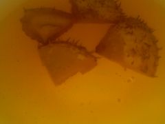 -黔蘑菇四季餐厅(观山湖店)