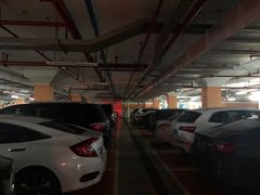 -百年果林椰子鸡(中洲店)