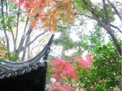 -秋霞圃