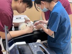 -瑞派康怡24h宠物医院·犬猫医疗中心·微创绝育(瑞景分院)