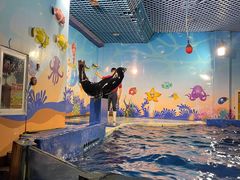 -太平洋海底世界