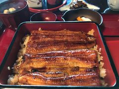-料亭菊水楼