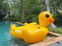 -海南清水湾莱佛士酒店