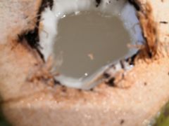 -椰夫人·养生椰子鸡(黄埔时代城店)