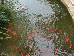 -北京国家会计学院