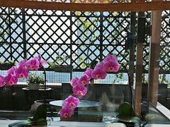 -洋洋中餐馆·SINCE 1997(信投店)