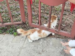 -四门塔风景区