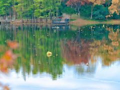 -长广溪湿地公园