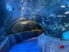 -太平洋海底世界