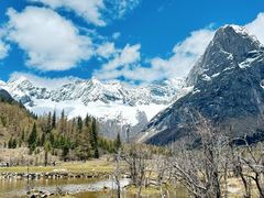 -金鼎雪山牦牛杂火锅(理县总店)