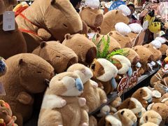 -万达广场(太原街店)