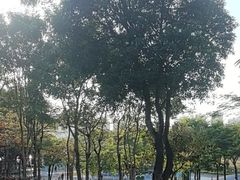 -海沧湾公园