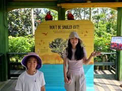 -新加坡飞禽公园