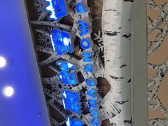 -哈尔滨热雪奇迹