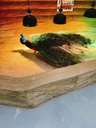 -Zoolung Zoolung动物主题公园(海信广场店)